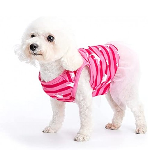 Pet store dog clothes